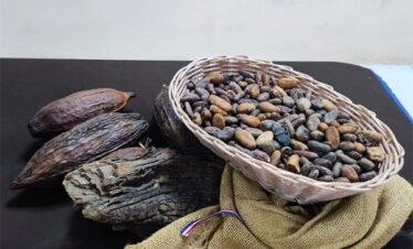 DOMINICAN CHOCOLATE FACTORY