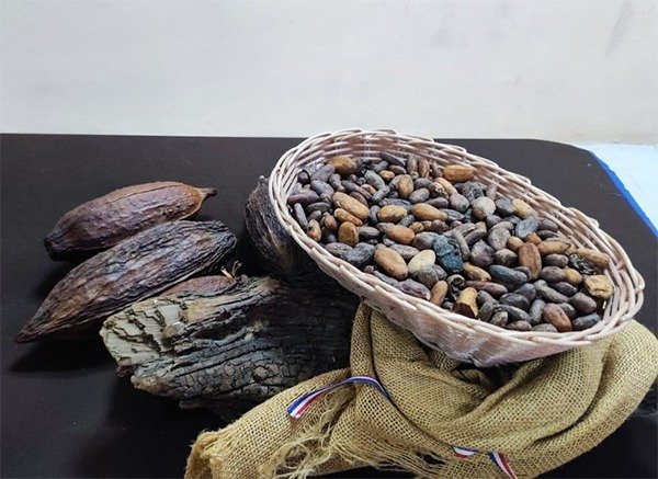 WhatsApp Image 2025-12-18 at 9.43.32 AM-2